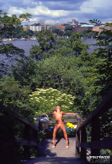 Private Classics picture collection featuring Sarah in hardcore sex action